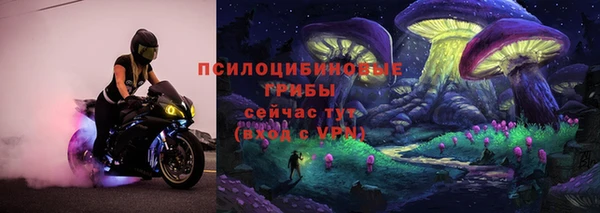 молекула духа Михайловка