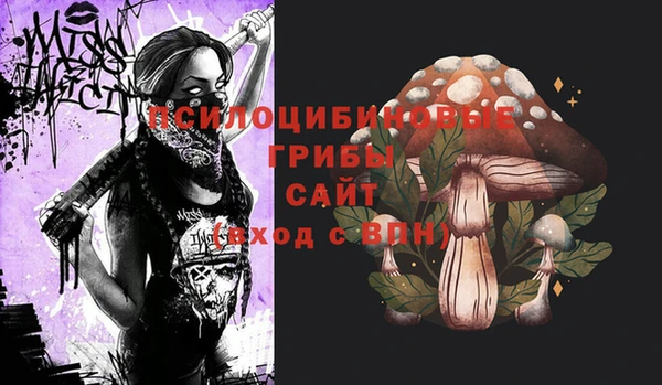 молекула духа Михайловка