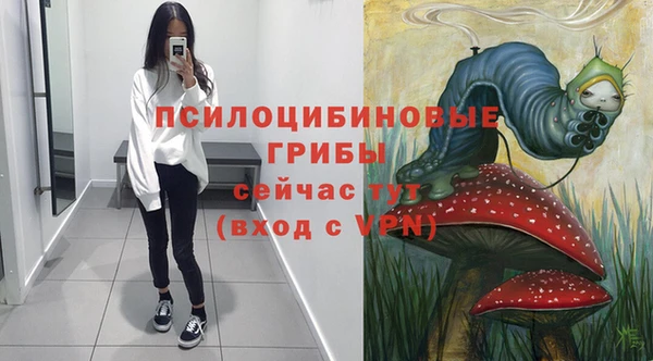 индика Саяногорск