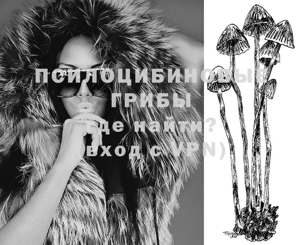 кокс Михайлов